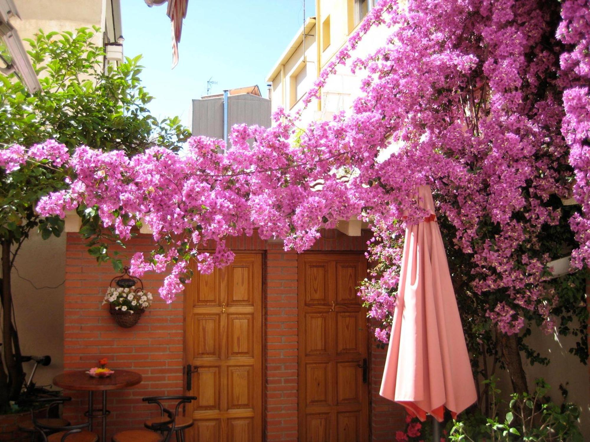 Pension Casa Austria 칼레라 외부 사진